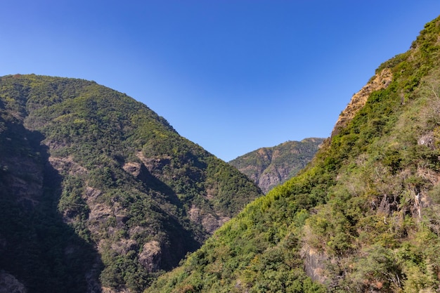 Montagne couverte de forêts vertes et de ciel bleu brumeux le matin sous un angle plat