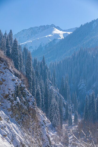 montagne couverte de neige