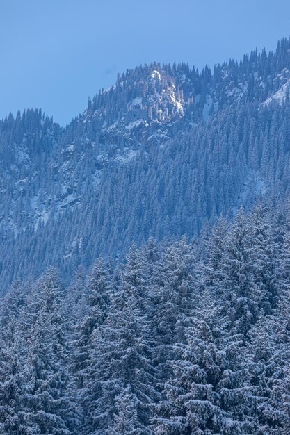 montagne couverte de neige