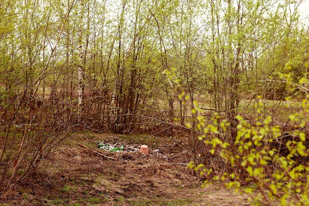 Une montagne de déchets dans la forêt sous les arbres dans une clairière au printemps après l'hiver