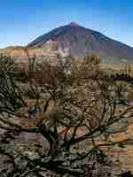 Photo montagne du teide tenerife île des canaries espagne