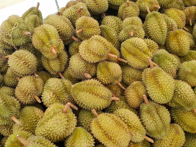 La montagne de Durians, le célèbre fruit de la Thaïlande.