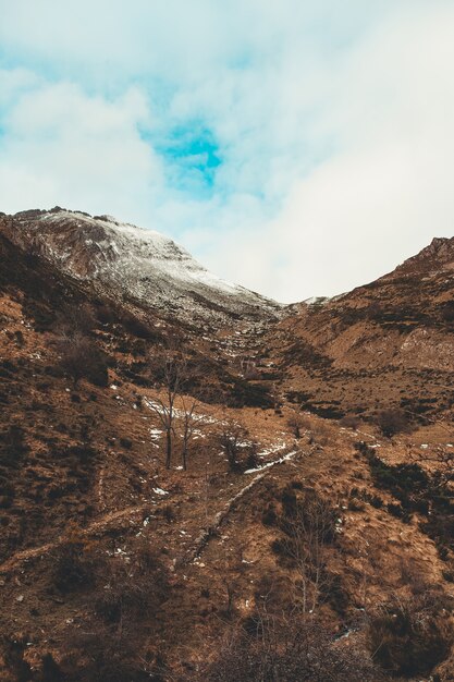 Montagne enneigée et herbeuse