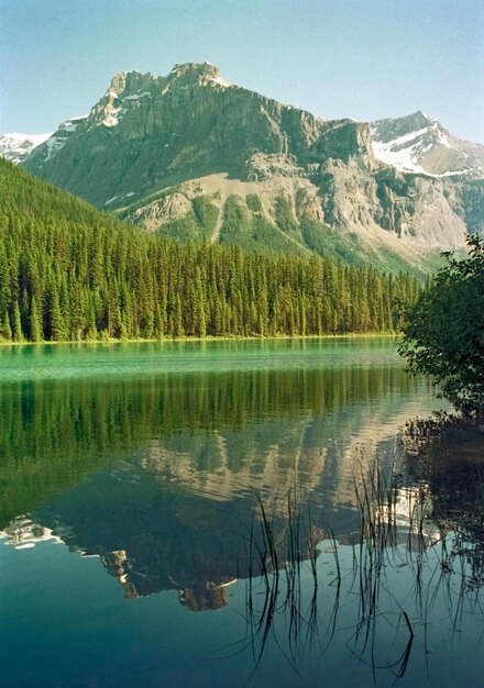 une montagne est à l'arrière-plan avec un lac au premier plan