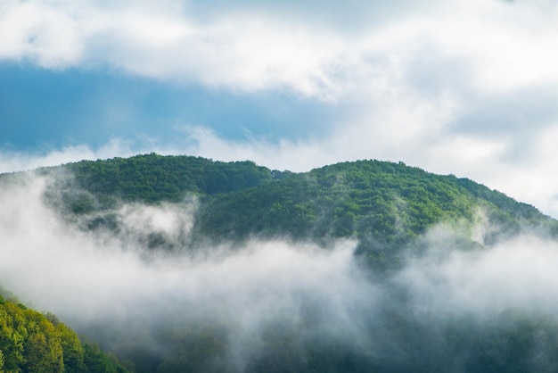 La montagne est couverte de forêt dense dans la brume matinale au lever du soleil