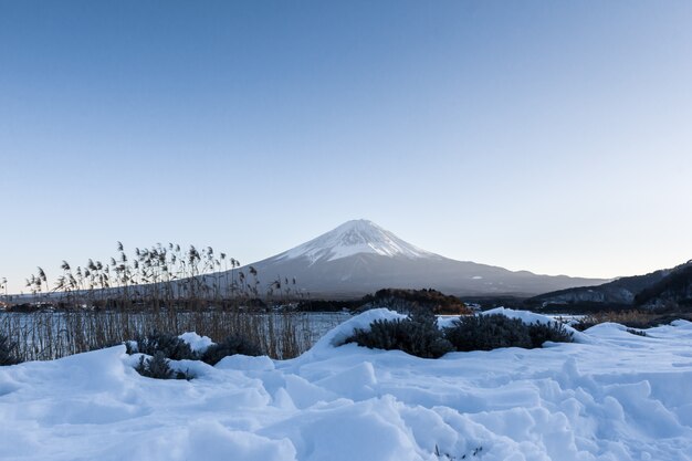 Montagne Fuji Au Lac Kawaguchiko En Hiver