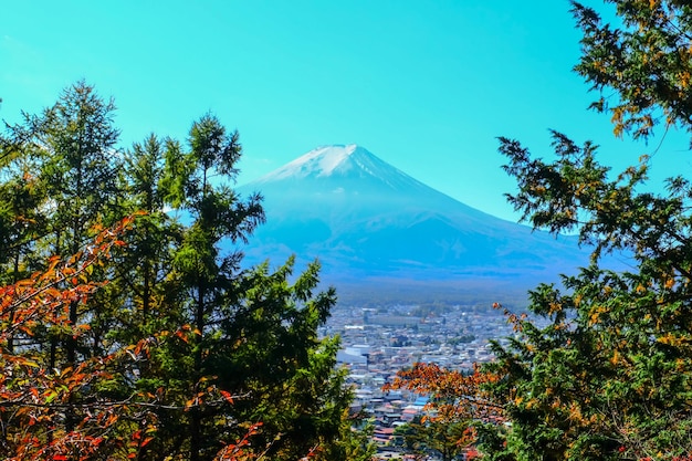 La montagne Fuji est une belle des feuilles rouges