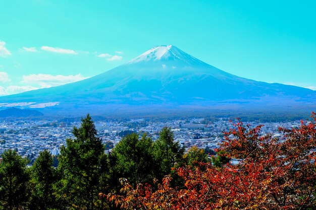 La montagne Fuji est une belle des feuilles rouges