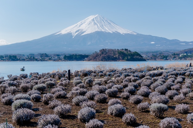 montagne fuji et lac japon