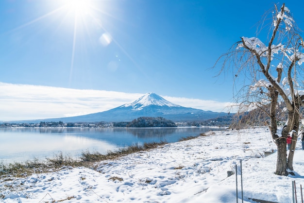 Montagne Fuji San au lac Kawaguchiko.