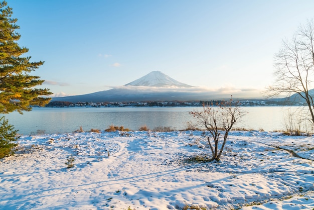 Montagne Fuji San au lac Kawaguchiko.