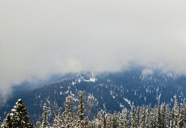 Montagne de l'Himalaya au Cachemire Village de neige à Gulmarg en Inde Paysage de la belle nature de la montagne de l'Himalaya au ciel