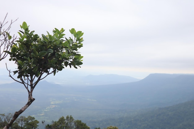 Montagne Knong Phsar au Cambodge