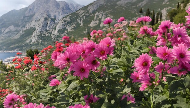 une montagne avec une montagne en arrière-plan et des fleurs au premier plan