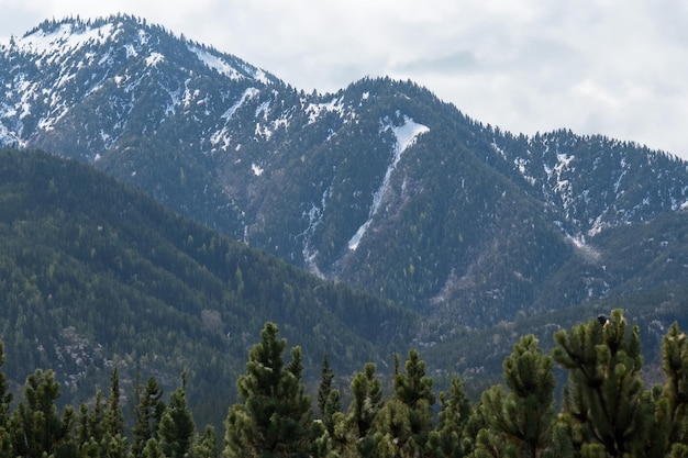 Photo une montagne avec une montagne en arrière-plan