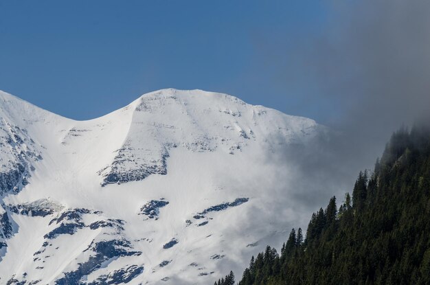 Montagne avec neige et brouillard