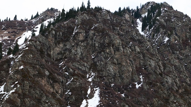 Montagne rocheuse avec arbres et neige