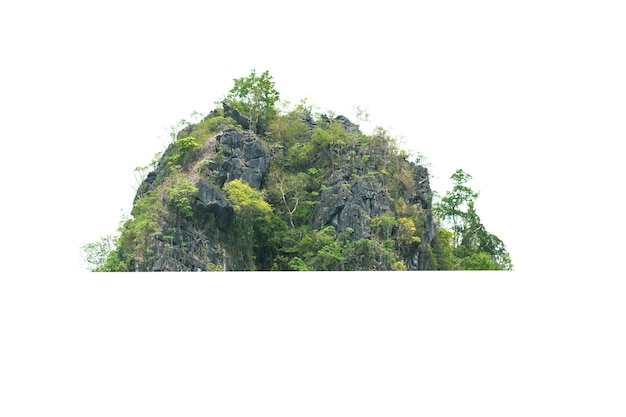 Montagne rock forêt arbre terre fond blanc