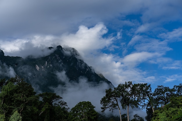 Montagne route paysage terrain vert terre nature vue en été