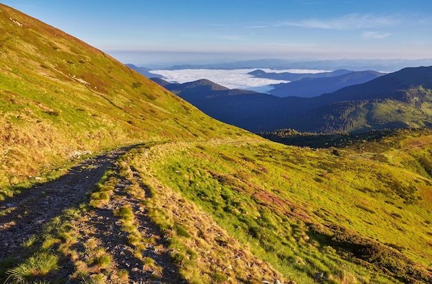 Montagne route printemps gammes paysage