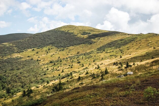 Montagne sans arbres