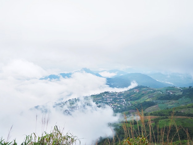 montagne verte et fond de brouillard blanc