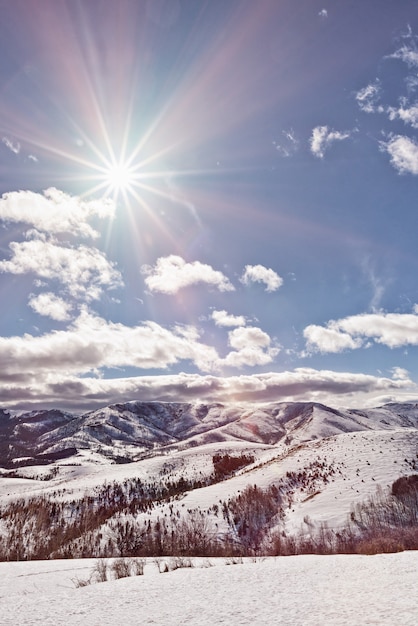 Montagne Zlatibor Serbie en hiver Beau paysage en hiver