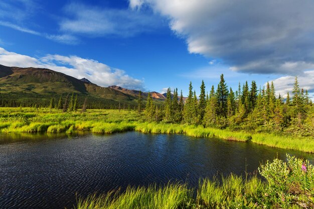 Montagnes de l'Alaska en été