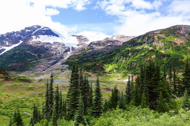 Montagnes de l'Alaska en été