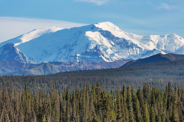 Montagnes de l'Alaska en été