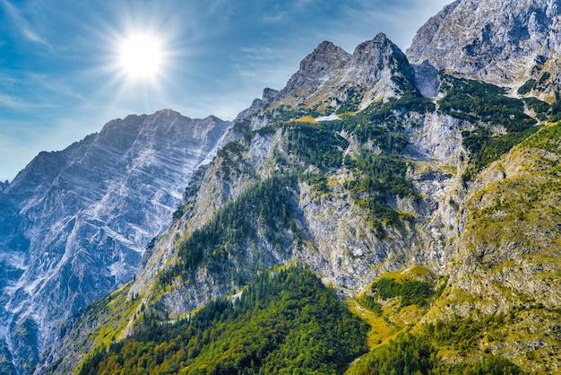 Montagnes des Alpes couvertes de forêt Koenigssee Konigsee Parc national de Berchtesgaden Bavière Allemagne