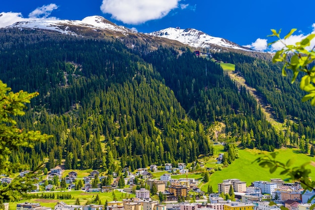 Montagnes des Alpes couvertes de forêt de pins Davos Graubuenden Sw