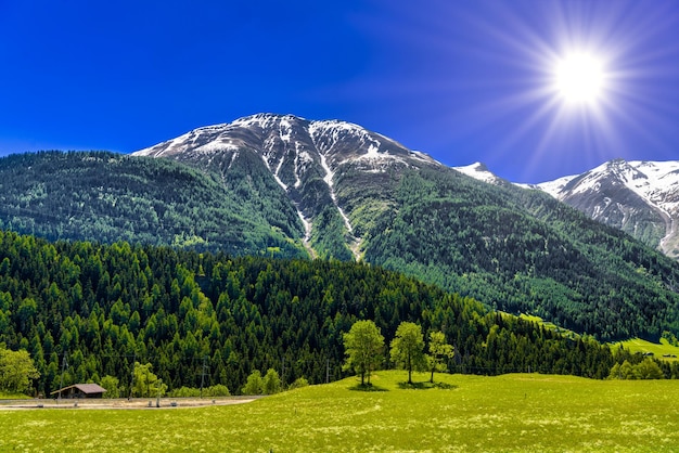 Montagnes alpines avec forêt et champs Fiesch Goms Wallis Vala