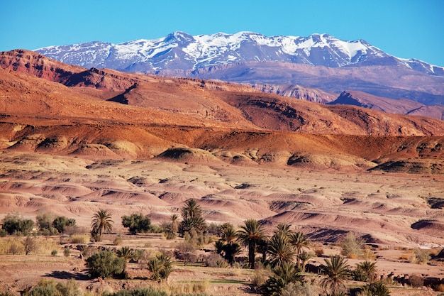 Montagnes de l'Atlas au Maroc