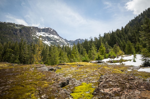 Montagnes au Canada