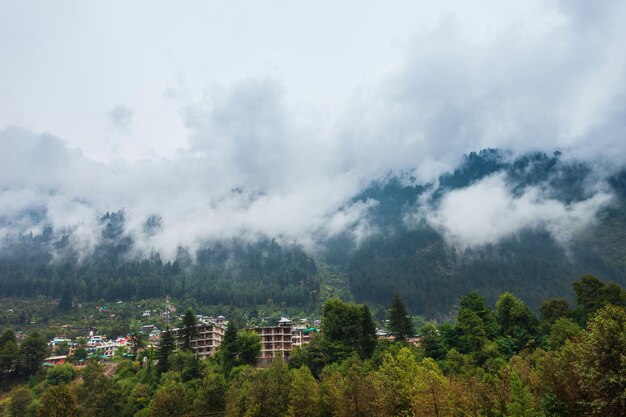 Montagnes boisées dans les nuages et la brume