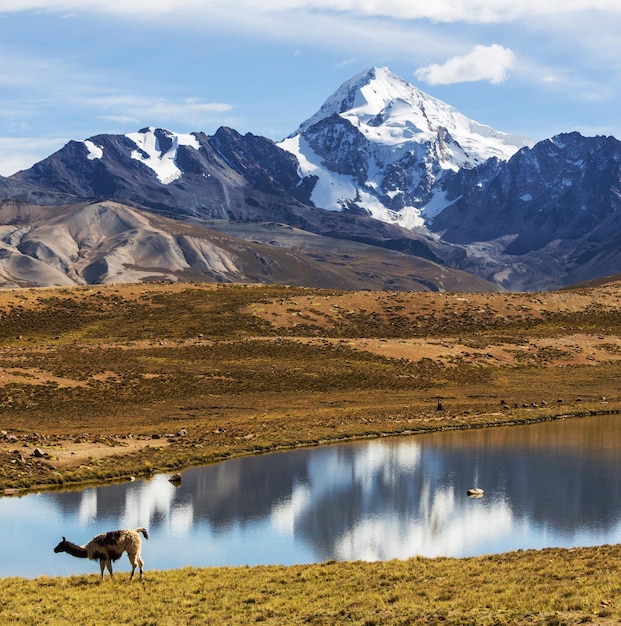 Montagnes en Bolivie