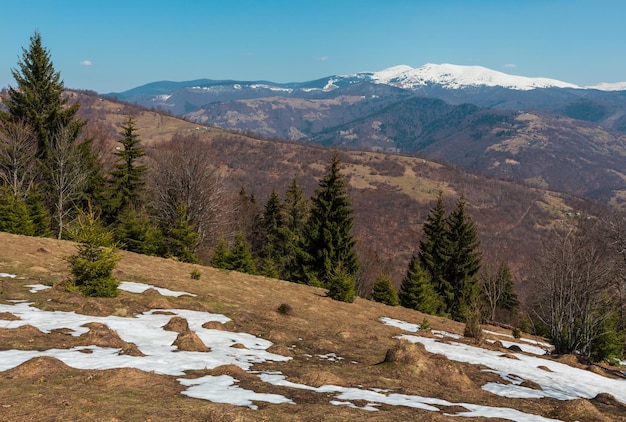 Montagnes des Carpates au début du printemps