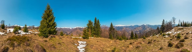 Montagnes des Carpates au début du printemps