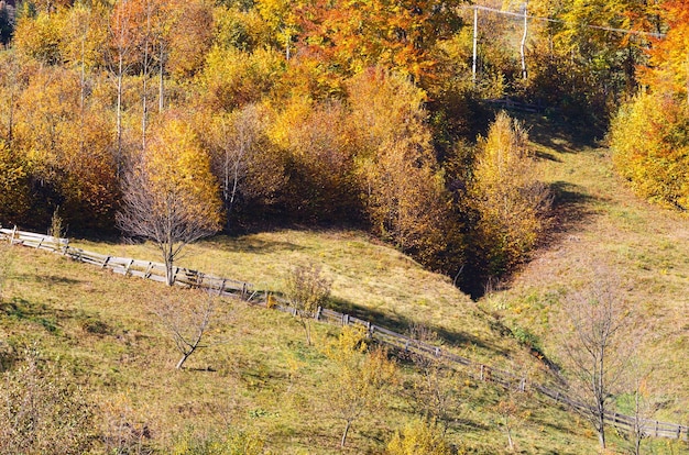 Montagnes des Carpates d'automne Ukraine