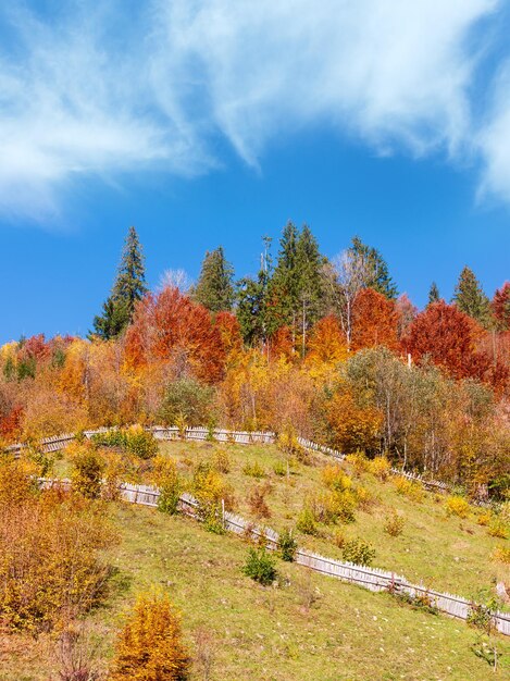 Montagnes des Carpates d'automne Ukraine