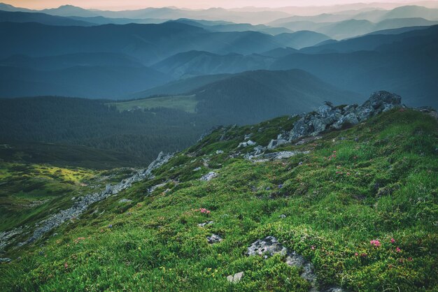 Montagnes des Carpates été coucher de soleil paysage fond de voyage naturel