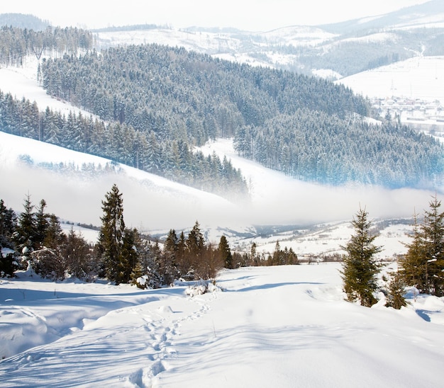 Montagnes des Carpates en hiver, journée ensoleillée et vue sur les montagnes