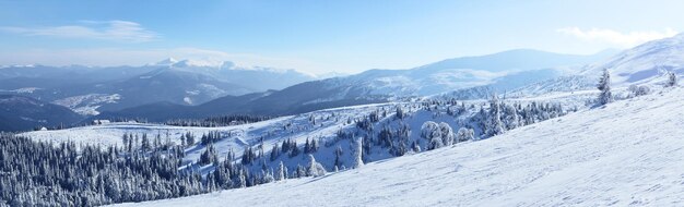 Montagnes des Carpates en hiver Paysage d'hiver pris dans les montagnes