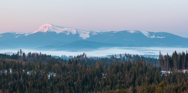 Montagnes des Carpates de printemps tôt le matin