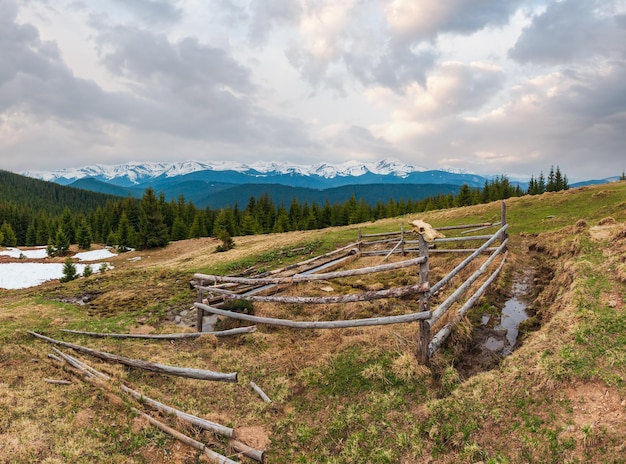 Les montagnes des Carpates de printemps