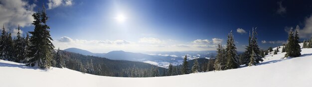 Montagnes des Carpates Ukraine Magnifiques sapins enneigés sur fond de sommets montagneux Vue panoramique sur le paysage hivernal enneigé pittoresque Journée ensoleillée magnifique et calme