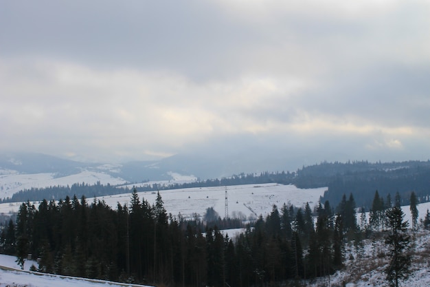 Montagnes des Carpates en Ukraine. Paysage d'hiver