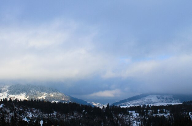 Montagnes des Carpates en Ukraine. Paysage d'hiver