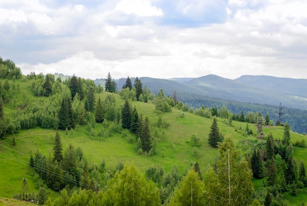 Montagnes des Carpates ukrainiennes et vallées de montagne en été